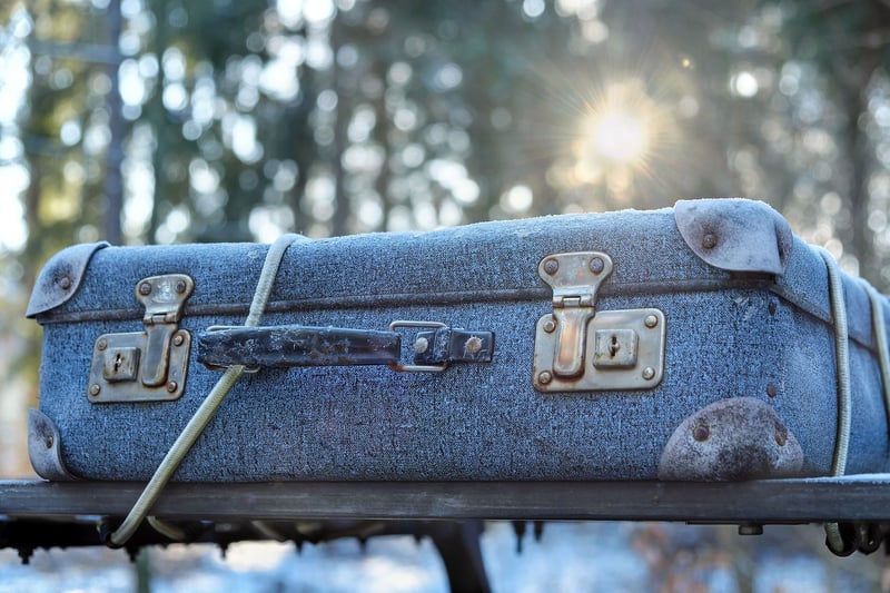 Travel Luggage